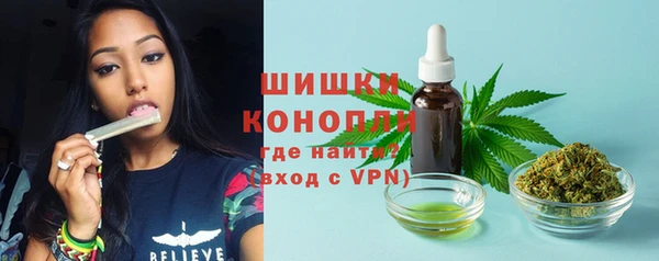Альфа ПВП Аркадак