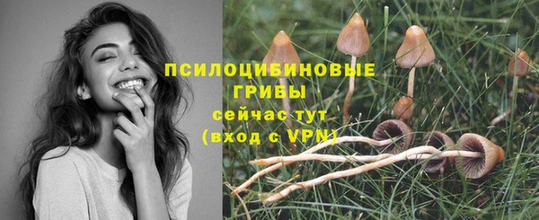 Альфа ПВП Аркадак