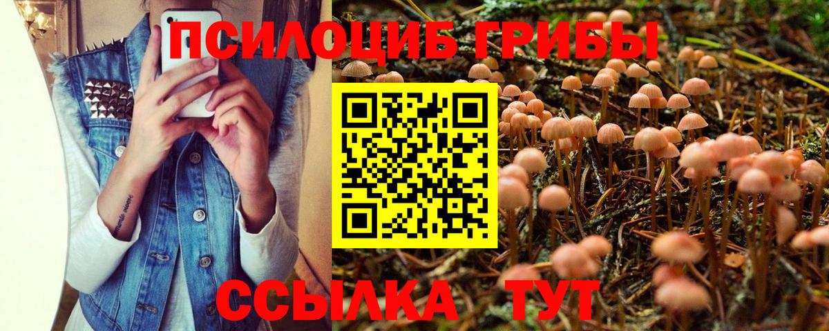 Лсд 25 Мытищи