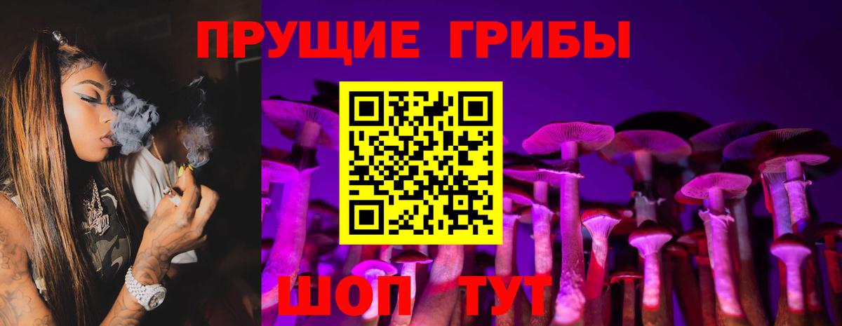 Мытищи  Псилоцибиновые грибы мухоморы  как найти закладки  Вход с VPN 